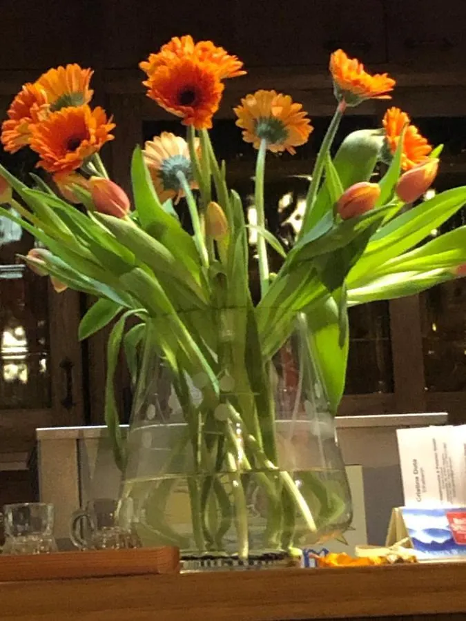 Pension Restaurant Ewald Bischofsheim an der Rhön